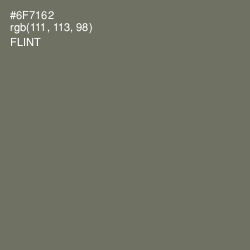#6F7162 - Flint Color Image