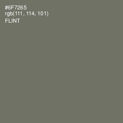 #6F7265 - Flint Color Image