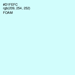 #D1FEFC - Foam Color Image