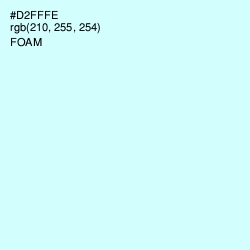#D2FFFE - Foam Color Image