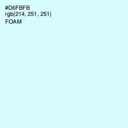 #D6FBFB - Foam Color Image