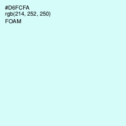#D6FCFA - Foam Color Image