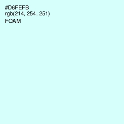 #D6FEFB - Foam Color Image