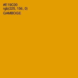 #E19C00 - Gamboge Color Image