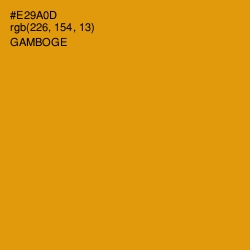 #E29A0D - Gamboge Color Image