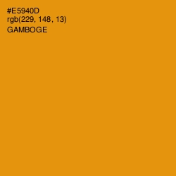 #E5940D - Gamboge Color Image