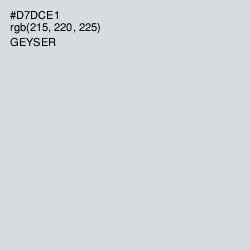#D7DCE1 - Geyser Color Image