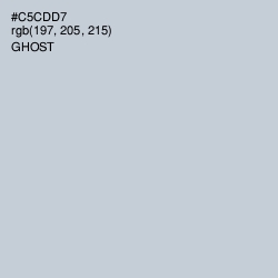 #C5CDD7 - Ghost Color Image