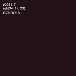 #221117 - Gondola Color Image
