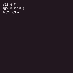 #22161F - Gondola Color Image