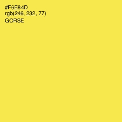 #F6E84D - Gorse Color Image