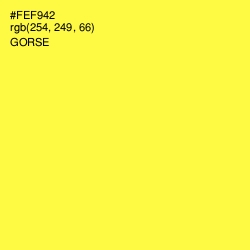 #FEF942 - Gorse Color Image