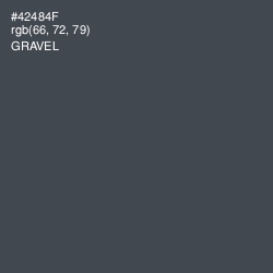 #42484F - Gravel Color Image