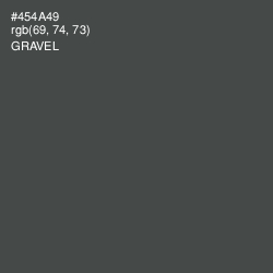 #454A49 - Gravel Color Image
