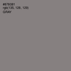 #878081 - Gray Color Image
