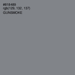 #818489 - Gunsmoke Color Image