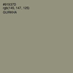 #91937D - Gurkha Color Image