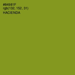 #84981F - Hacienda Color Image