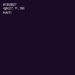 #1B0B27 - Haiti Color Image