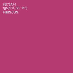 #B73A74 - Hibiscus Color Image