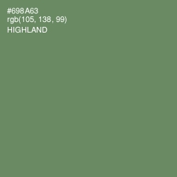 #698A63 - Highland Color Image