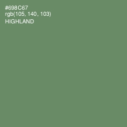 #698C67 - Highland Color Image