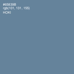 #65839B - Hoki Color Image