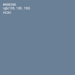 #698096 - Hoki Color Image