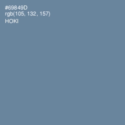 #69849D - Hoki Color Image