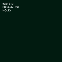 #021B10 - Holly Color Image