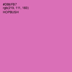 #DB6FB7 - Hopbush Color Image