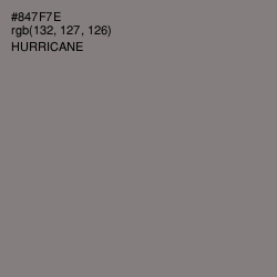 #847F7E - Hurricane Color Image