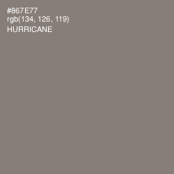 #867E77 - Hurricane Color Image