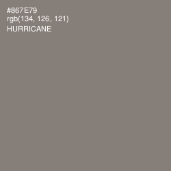 #867E79 - Hurricane Color Image