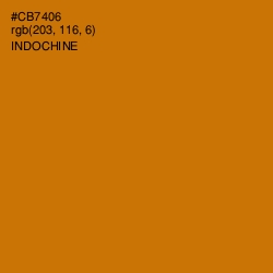 #CB7406 - Indochine Color Image