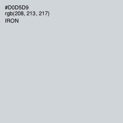 #D0D5D9 - Iron Color Image