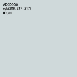 #D0D9D9 - Iron Color Image