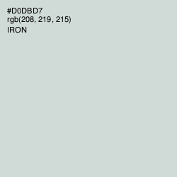 #D0DBD7 - Iron Color Image