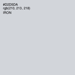 #D2D5DA - Iron Color Image