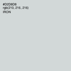 #D2D8D8 - Iron Color Image