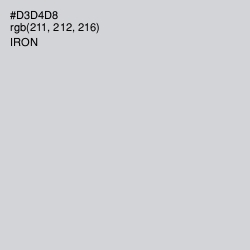 #D3D4D8 - Iron Color Image