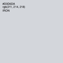 #D3D6DA - Iron Color Image