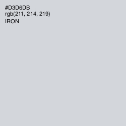 #D3D6DB - Iron Color Image
