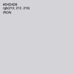 #D4D4D8 - Iron Color Image