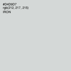#D4D9D7 - Iron Color Image