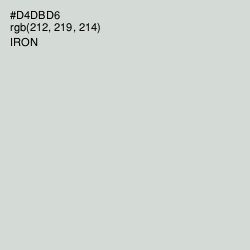#D4DBD6 - Iron Color Image