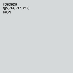 #D6D9D9 - Iron Color Image