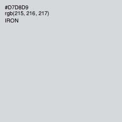 #D7D8D9 - Iron Color Image