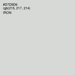 #D7D9D6 - Iron Color Image