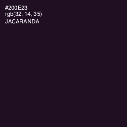 #200E23 - Jacaranda Color Image